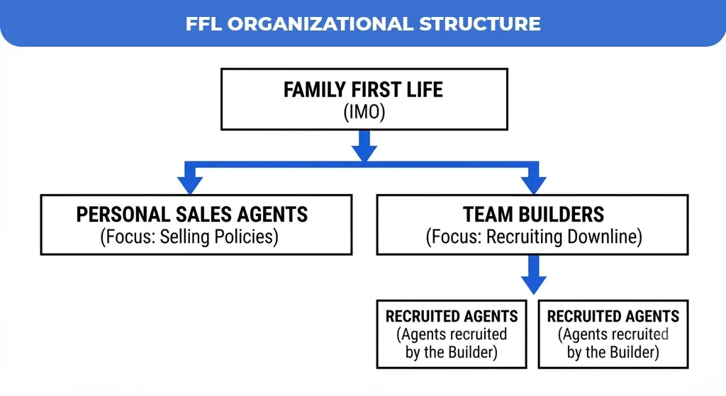 FFL-Organizational-Structure