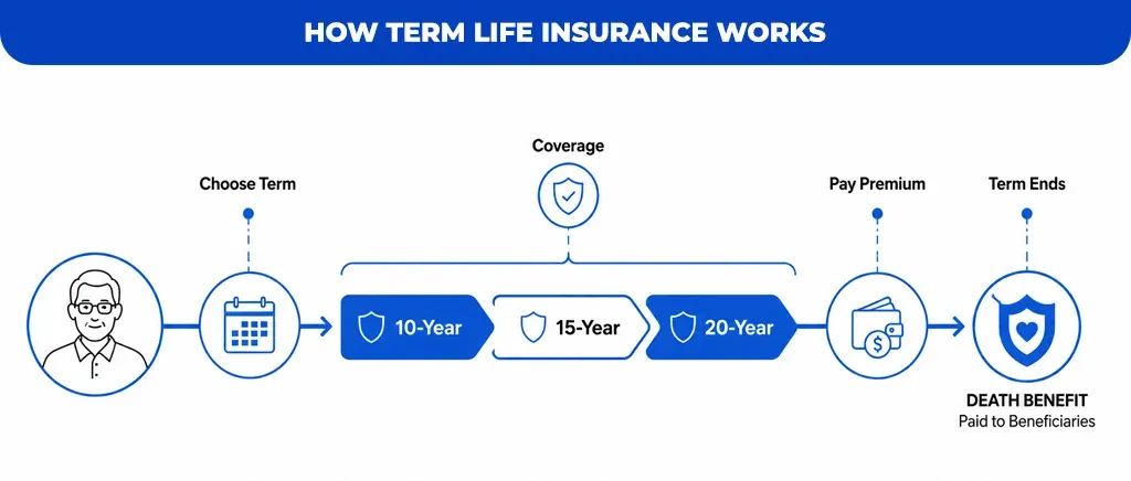 How Term Life Insurance Works