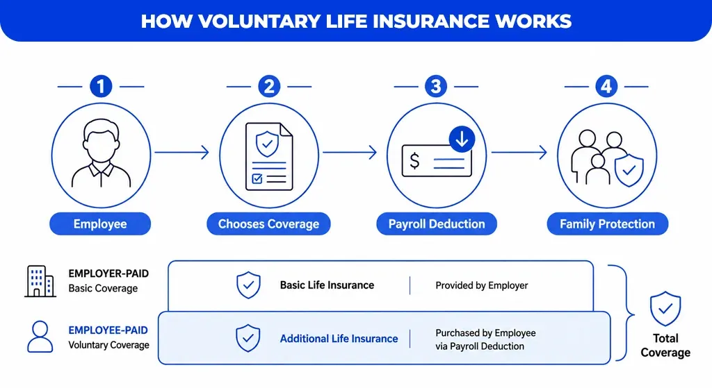 How Voluntary Life Insurance Works