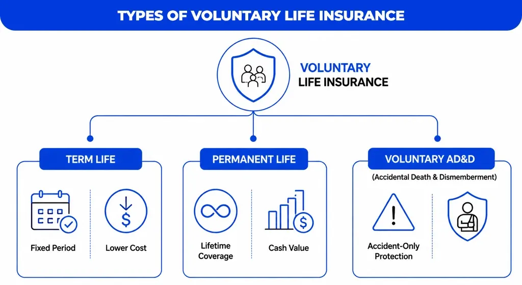 Types of Voluntary Life Insurance