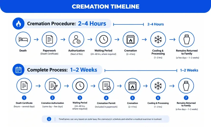 Cremation-Timeline
