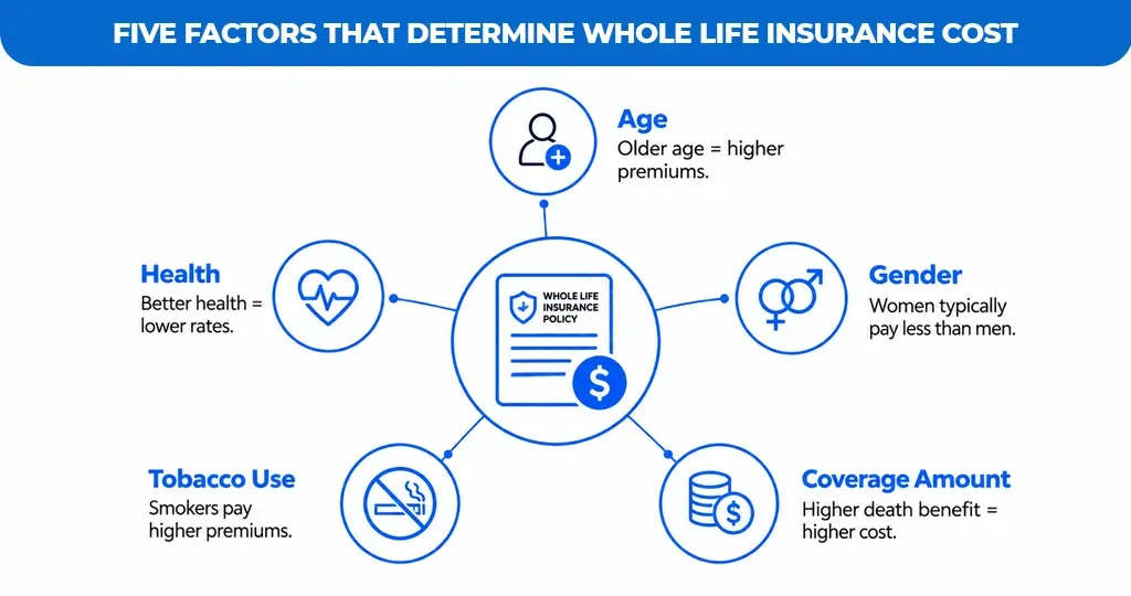 Five Factors That Determine Whole Life Insurance Cost