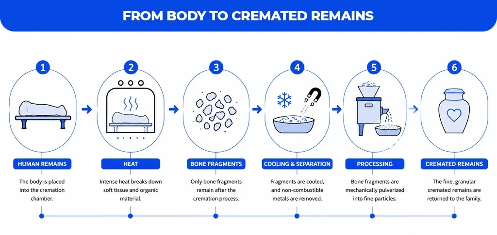 From Body to Cremated Remains